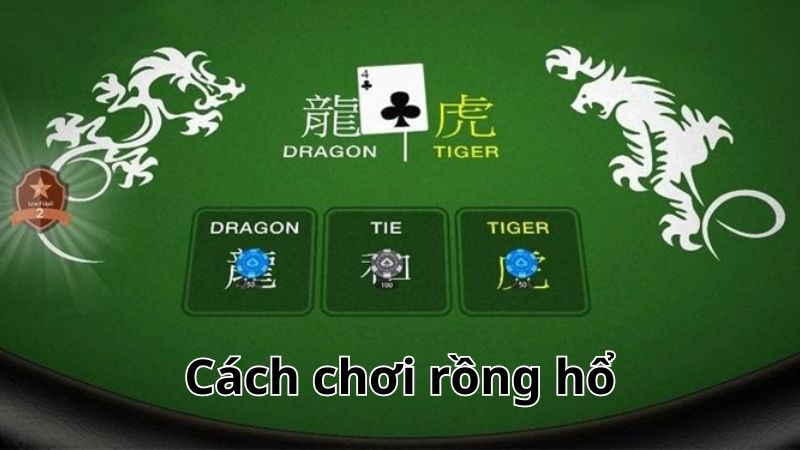 Cách chơi rồng hổ