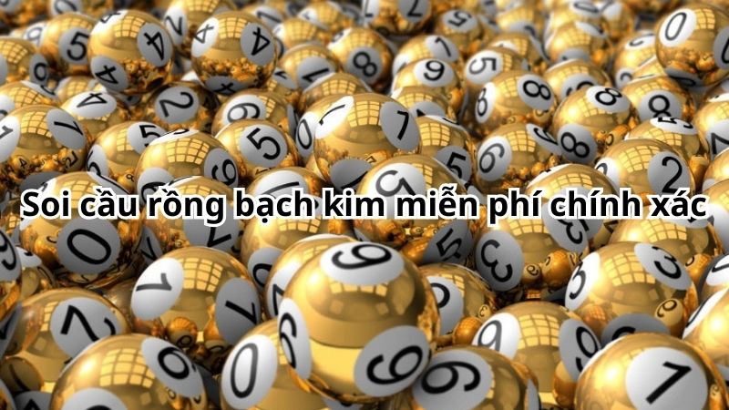 Soi cầu rồng bạch kim miễn phí chính xác