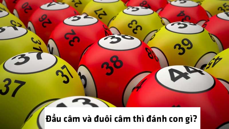 Đầu câm và đuôi câm thì đánh con gì?