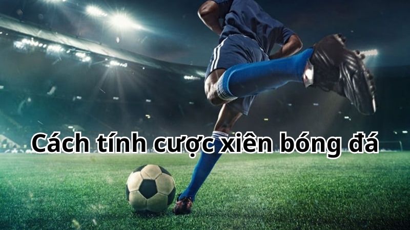 Cách tính cược xiên bóng đá